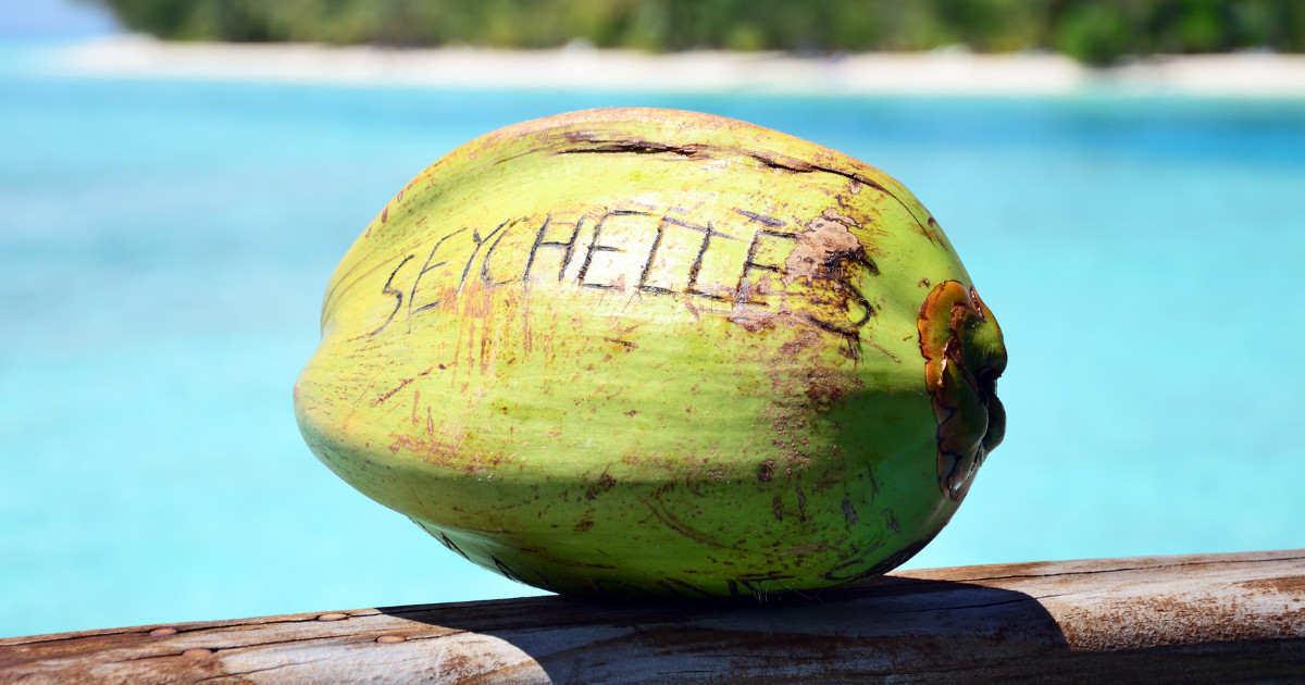 A coconut with 'Seychelles' carved in