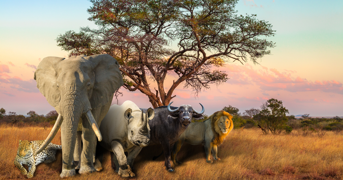 The Big Five animals of Africa: an elephant, a rhinoceros, a buffalo, a lion, and a leopard, standing together in a savanna landscape.