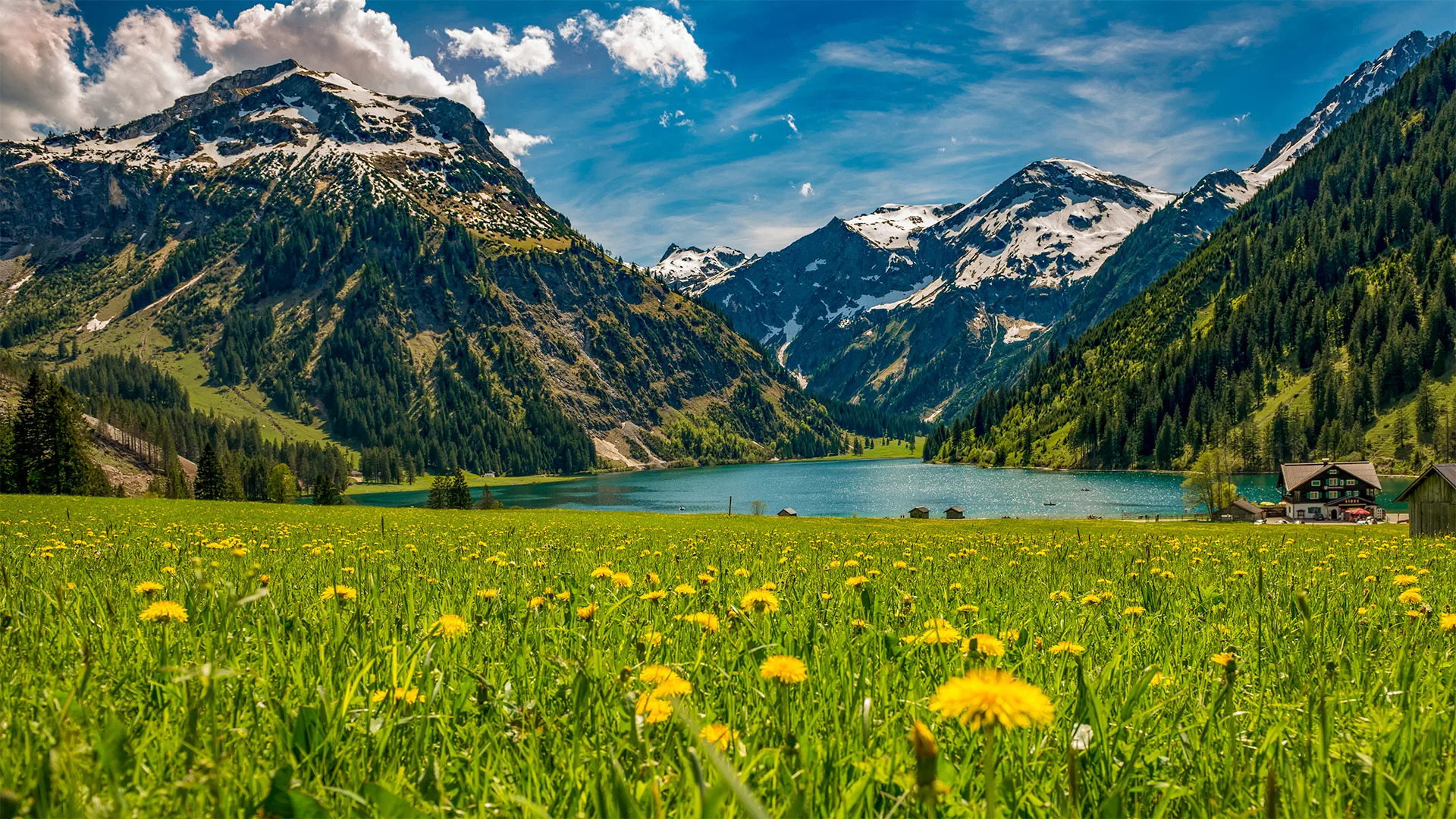 A picturesque mountain landscape with a lake surrounded by lush green meadows dotted with yellow dandelions, towering snow-capped peaks, and a charming chalet in the distance.