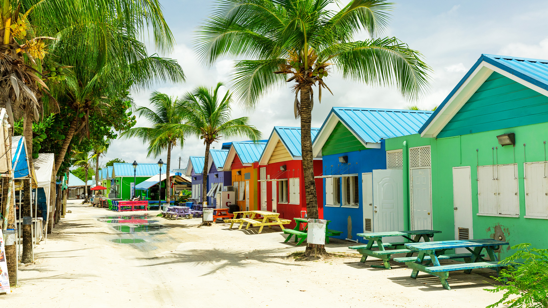 A row of colorful houses with palm trees in the Caribbean.