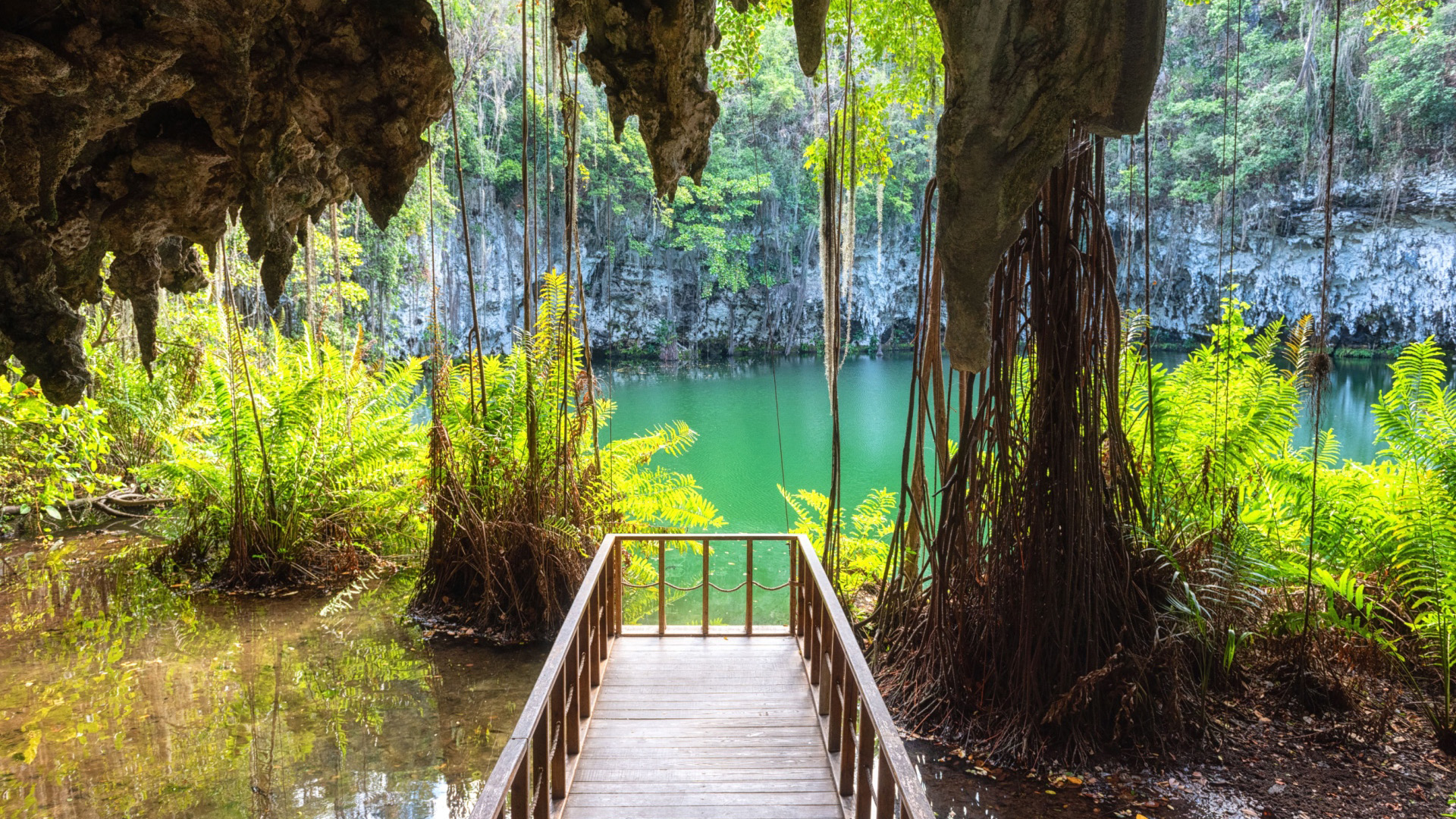 A breathtaking view of a cenote in Mexico, a natural sinkhole with clear water, surrounded by lush vegetation and a wooden walkway.