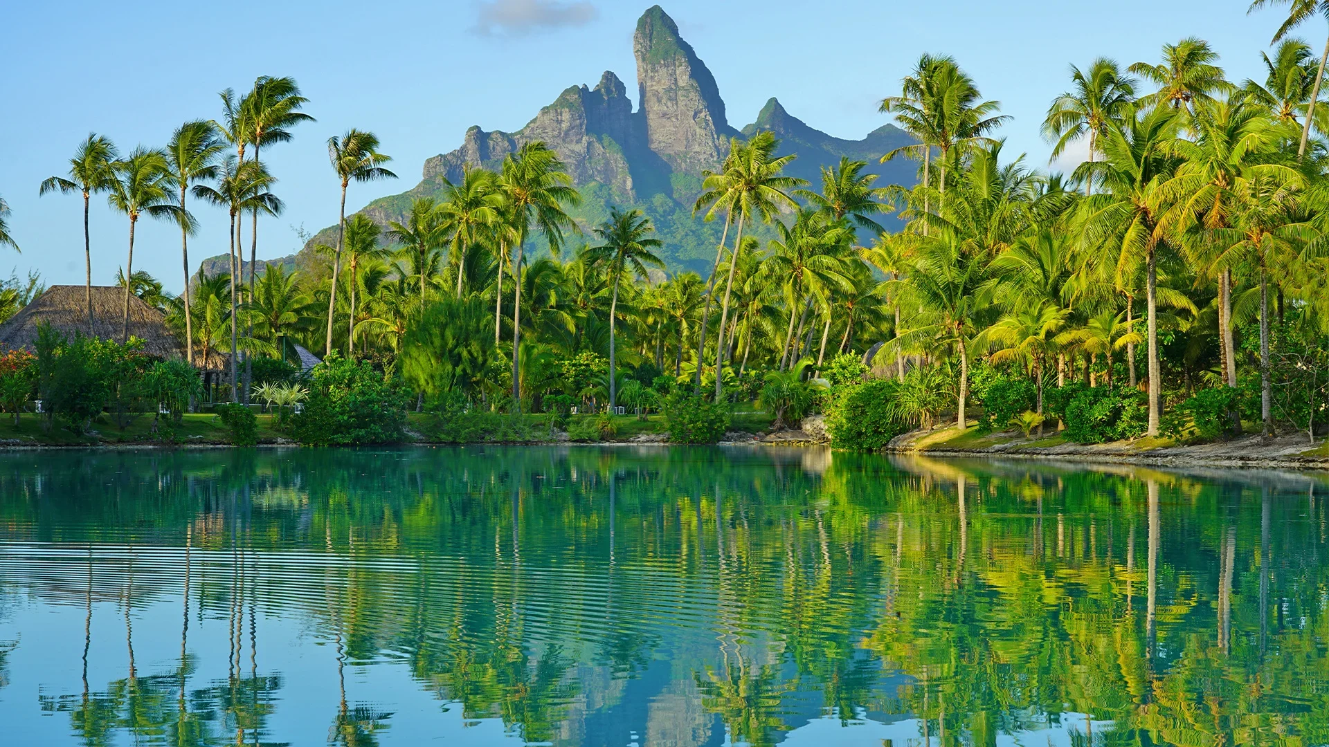 A stunning view of Mount Otemanu rising above a tropical lagoon with palm trees and turquoise water in Bora Bora.