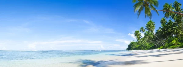A beautiful tropical beach with white sand, turquoise water, and palm trees.