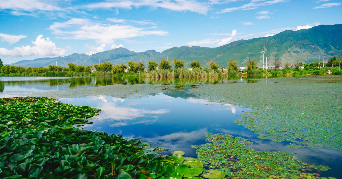 Iğdır wetlands