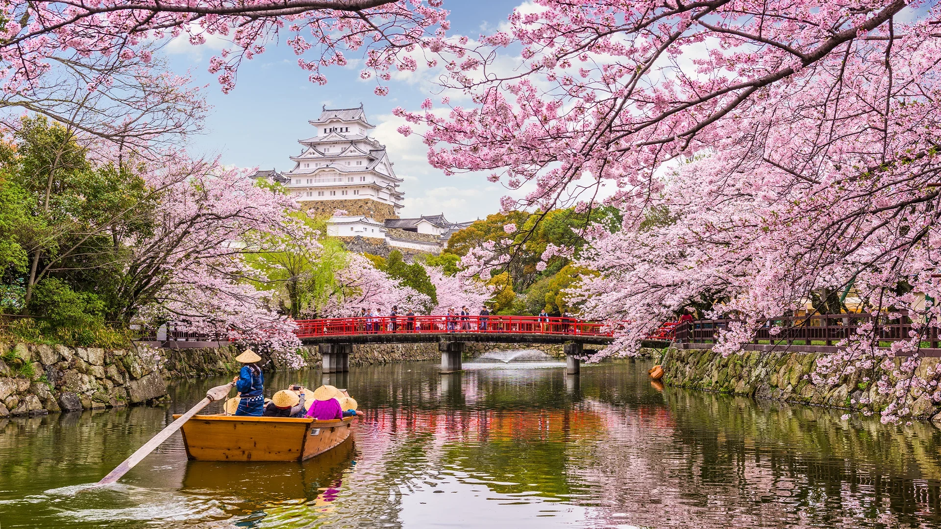 Himeji Castle surrounded by cherry blossom trees, with a boat on the moat in the foreground.