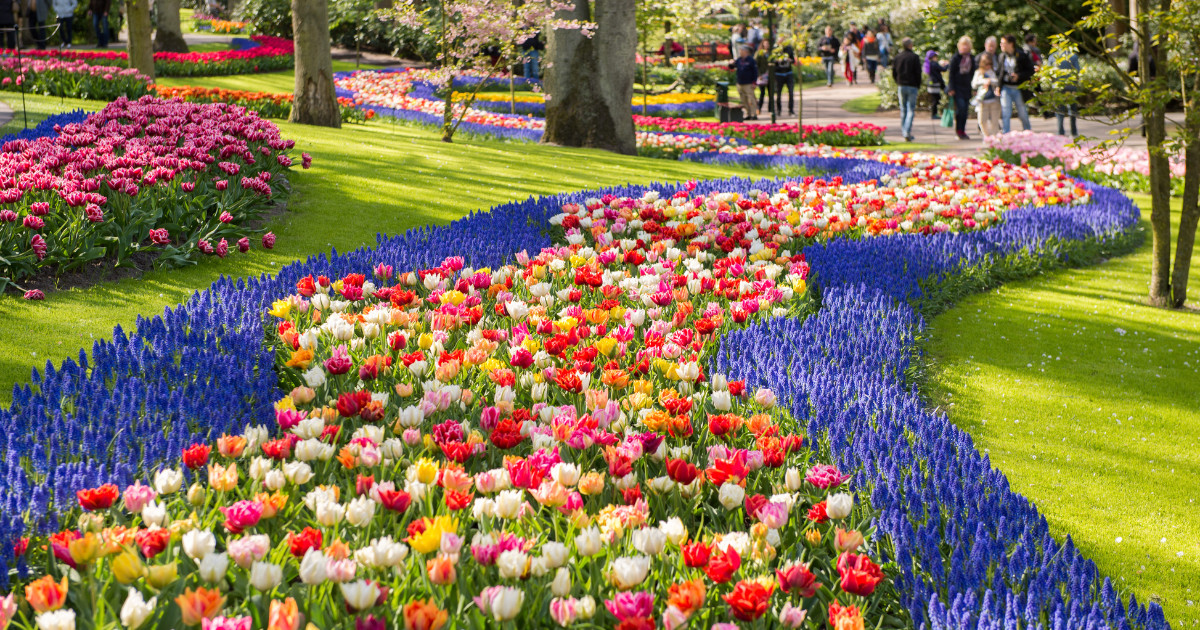 Keukenhof park in Netherlands