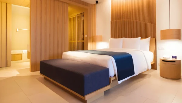 Luxury Hotel Room
