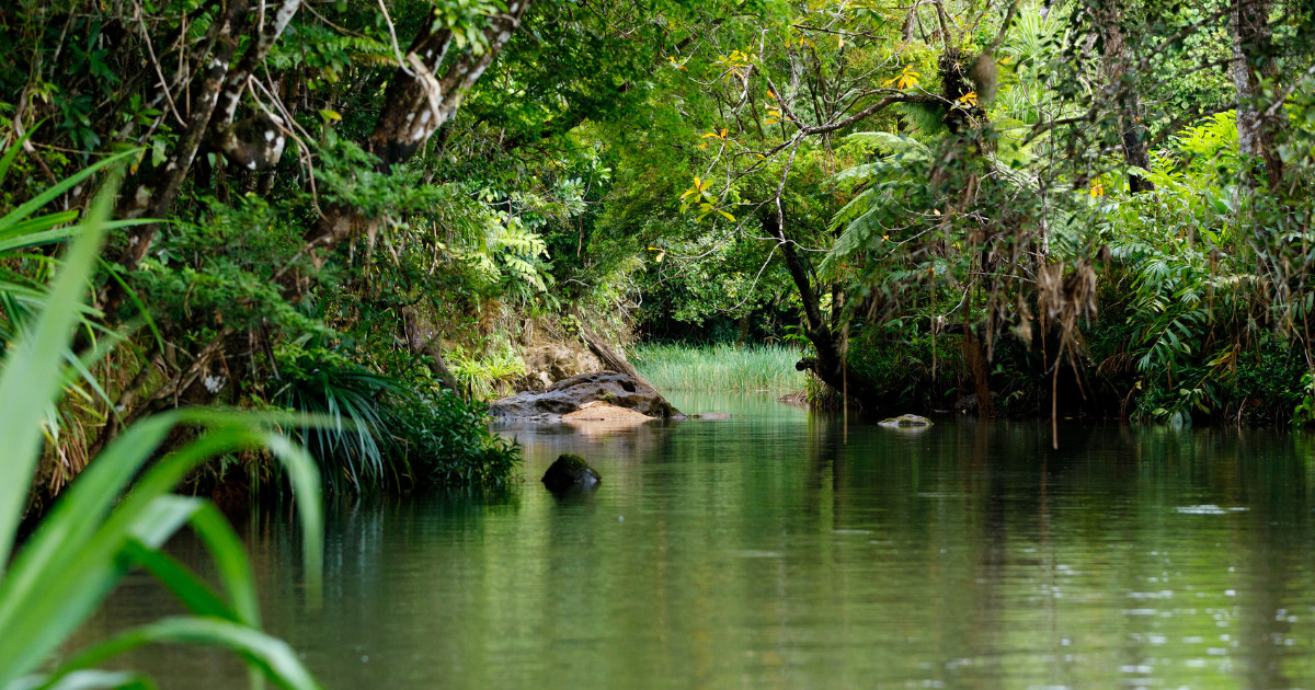 Masoala National Park