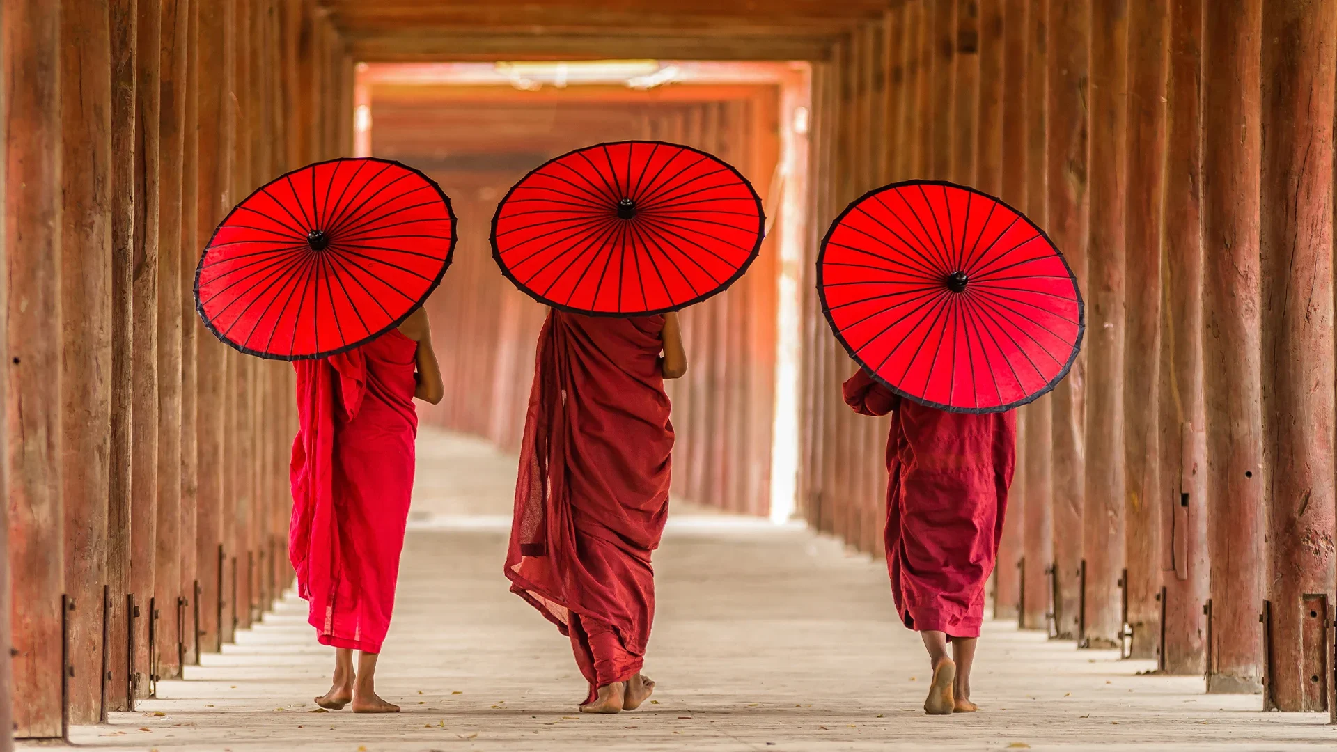 Three Buddhist monks in red robes walking with red parasols through a wooden temple corridor in Myanmar