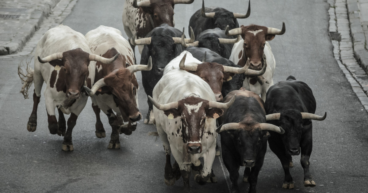 San Fermín