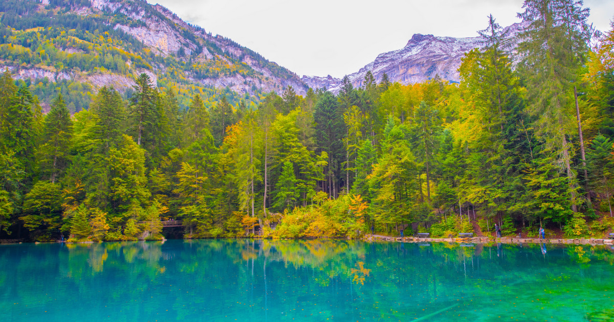 Scenic view of Blausee, a small lake in Kandersteg