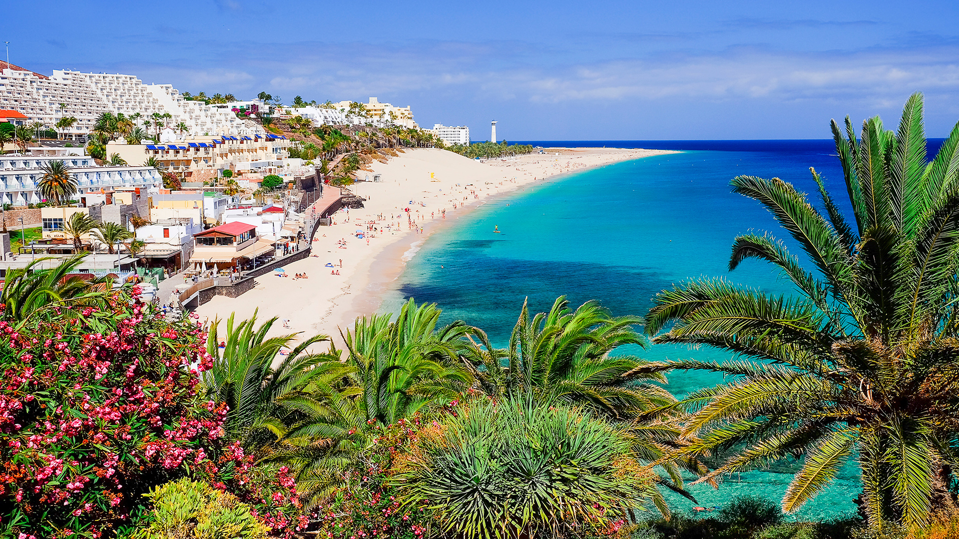 A stunning view of a sandy beach in the Canary Islands, with clear turquoise water, palm trees, and a picturesque coastline with buildings.