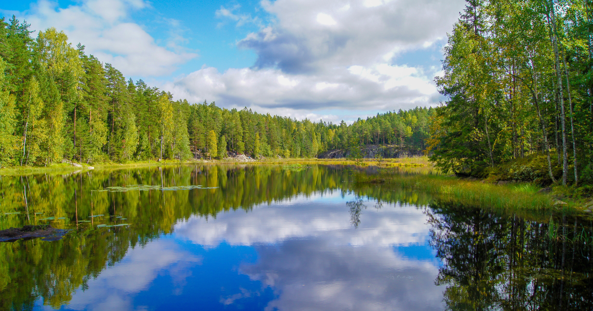 A serene landscape featuring a tranquil lake reflecting the blue sky and fluffy clouds, surrounded by a dense forest with green trees.