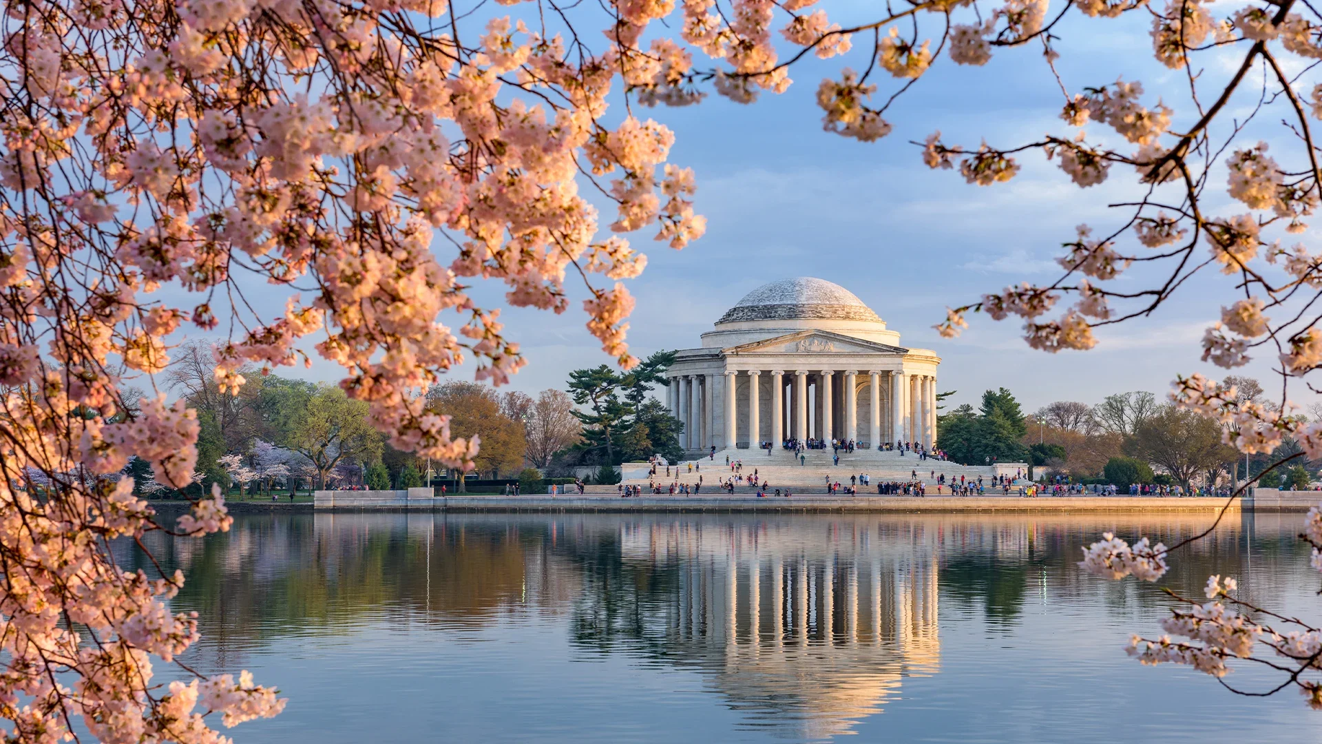 The Thomas Jefferson Memorial in Washington D.C., framed by blooming cherry blossom trees, reflecting in the Tidal Basin.
