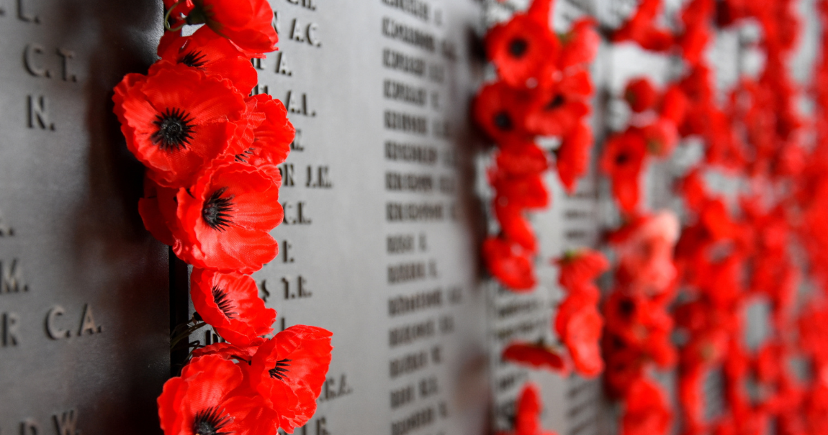 Red poppies placed on a war memorial wall, honoring those who served.