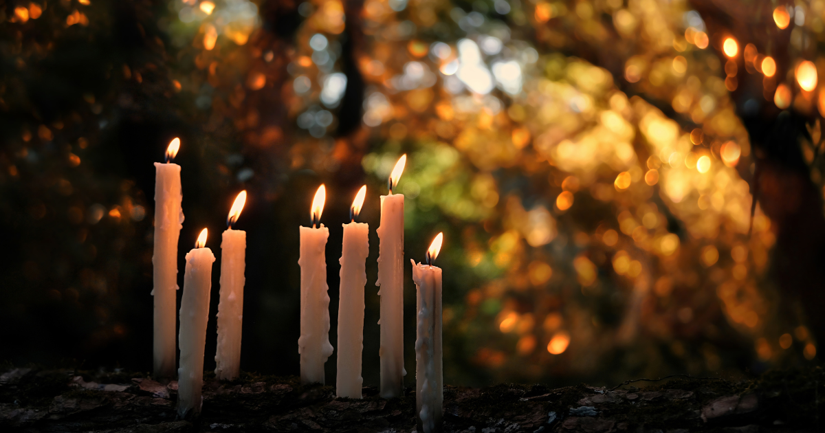 A row of lit candles in a forest, with a blurred background of golden autumn leaves and sunlight.