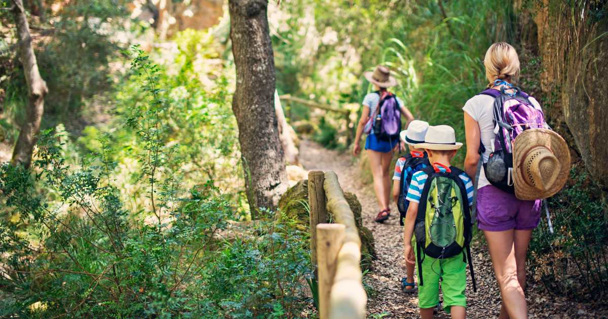 A family with backpacks walking along a wooded hiking trail in a lush, green forest.