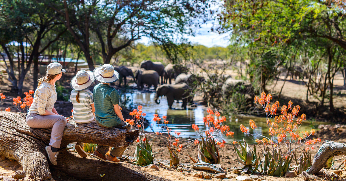 Family of mother and kids on African safari holiday enjoying wildlife viewing at watering hole