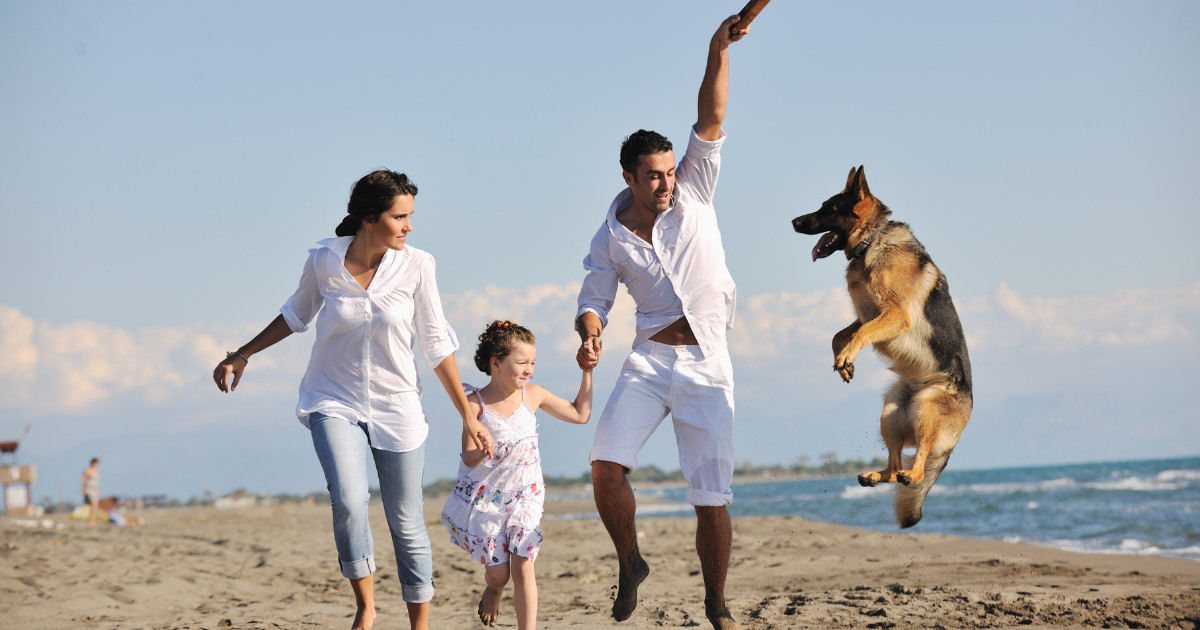 Family and their dog playing on the beach