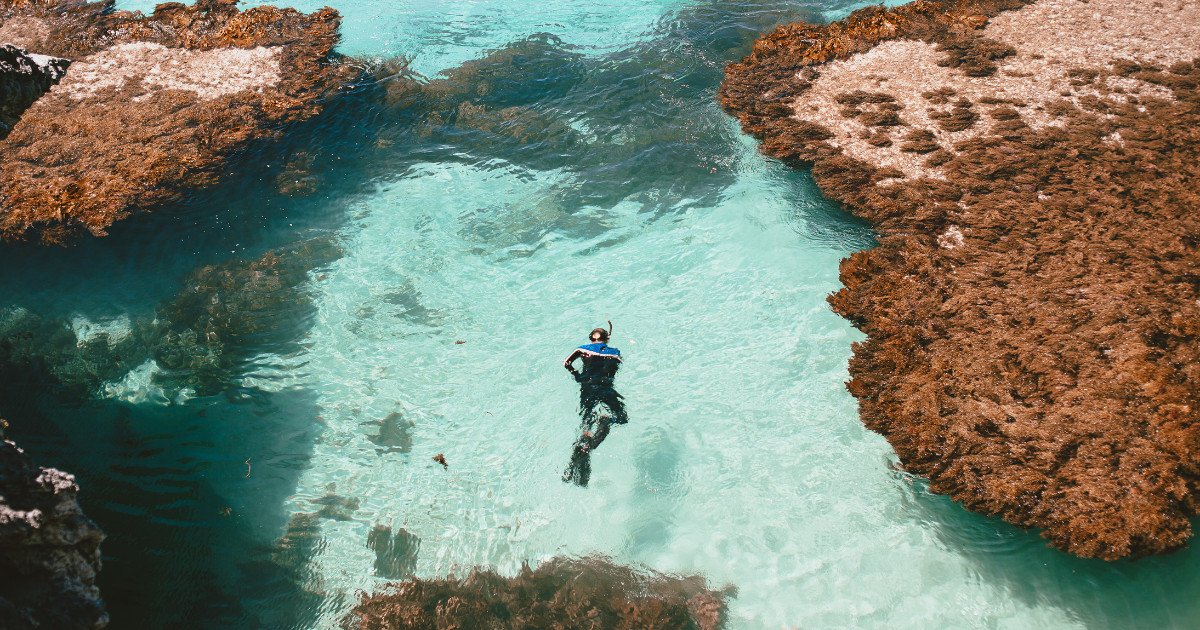 A man diving in the ocean