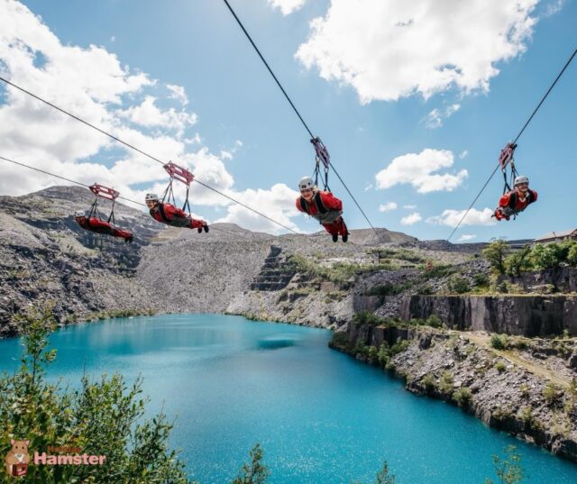 🏞️ Looking for a summer holiday packed with adventure, nature, and quality family time? Wales is the perfect destination – with stunning beaches, towering mountains, ancient castles, and fun-filled attractions around every corner! 🏰🏖️🐉

Whether you want to relax by the sea, explore dramatic national parks, or dive into local legends and history, Wales offers a brilliant mix of relaxation and excitement for families of all ages.

We’ve got a wide range of summer accommodation options to suit every type of family – from seaside cottages and countryside lodges to cosy hotels in beautiful Welsh towns.

✨ Family fun you can look forward to:

🏄‍♀️ Surfing, paddleboarding, and beach days along the Pembrokeshire or Llyn Peninsula coast
🚠 Riding the Snowdon Mountain Railway for spectacular views
🏰 Exploring majestic castles like Caernarfon, Conwy, and Harlech
🌳 Zip-lining, underground trampolining, and forest adventures at Zip World
🐑 Visiting working farms and wildlife centres
🥾 Walking and biking trails in Snowdonia and the Brecon Beacons
🧙‍♂️ Discovering myths, dragons, and legends throughout the land
📍 Let us help you plan a magical Welsh escape – where you can explore, relax, and make lasting family memories. Book your summer adventure in Wales today!