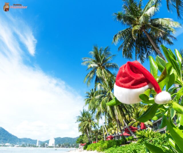 🎄 Christmas in the Sun? Don’t Wait to Book! 🎄 

Swap the cold for turquoise waters, and turkey for cocktails, Christmas getaways are already filling up! It’s never too early to secure your spot ☃️

🎅 Sunshine for the holidays
🌴 Resorts with festive extras
🍹 Adults-only luxury escapes
✨ Book now, pay later

Let us help you plan a Christmas to remember! 🐹

📞 Call us: 01422 823219
📧 Email us: <span style=