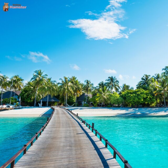 ☀️ Spotlight: Maldives & Mauritius ☀️

Which island paradise is calling your name? 🌴

✨ Maldives ✨
- Overwater bungalows
- Sunset dining
- Total seclusion

✨ Mauritius ✨
- Cultural charm
- Coral reefs
- Luxury without the crowds

Which one’s on your bucket list?
Let us help you plan a trip to remember 🐹

📞 Call us: 01422 823219
📧 Email us: <span style=