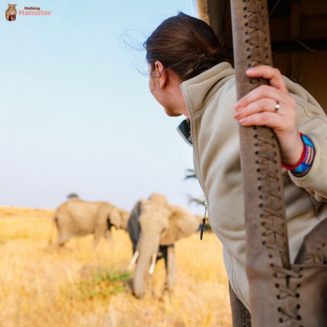 🌟 Top 5 Once-in-a-Lifetime Trips 🌟

Ready to tick off a bucket-list adventure? Here are 5 unforgettable holidays you’ll never forget! 🐹✈️

1️⃣ Safari in Kenya – Big 5, luxury lodges, epic sunsets 🌅
2️⃣ Walt Disney World – Magic, rides & memories for all ages 🎢
3️⃣ Overwater Villa, Maldives – Step into paradise from your villa 🏝️
4️⃣ Cruise the Nile – Ancient Egypt meets luxury sailing 🇪🇬
5️⃣ Inca Trail, Peru – Trek to the Lost City of Machu Picchu ⛰️

✨ Which one’s on your list?

📞 Call us: 01422 823219
📧 Email us: <span style=