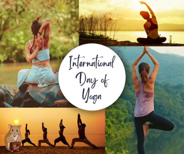🧘 International Day of Yoga 🧘‍♀️

Stretch, unwind and reconnect. This International Day of Yoga, why not book serene retreats and wellbeing escapes around the world! 🌍 Think sunrise yoga in Ibiza, spa resorts in the Algarve, or peaceful retreats in the Balearics 😌

You deserve a break that’s good for body and mind. Let us help you find your Zen 🐹

📞 Call us: 01422 823219
📧 Email us: <span style=