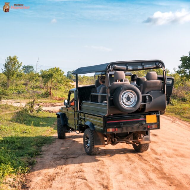🐾 Wildlife Wonders 🐾

A safari holiday is one of those once-in-a-lifetime trips that leaves you speechless and completely in awe of the natural world. 🌍 Here are some experiences waiting for you:

🦁 The Big Five in South Africa
🌅 Sunrise Balloon Safari over the Serengeti
🌍 Luxury lodges in Kenya’s Masai Mara
🌊 Safari & Beach Combos
🛖 Family-friendly safaris

Never been on safari before? Let us help plan the perfect one 📸 

📞 Call us: 01422 823219
📧 Email us: <span style=